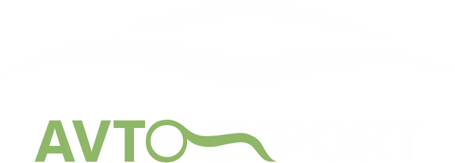 Avto-Export: Global Car Export Services